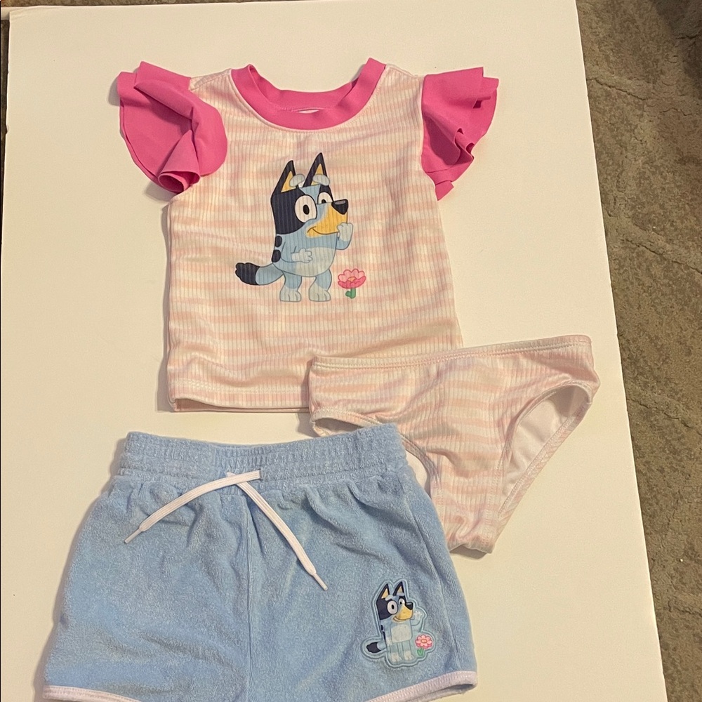 Bluey Toddler Girl Size 3T Pink & Blue Swim Top, Bottom, & Shorts Set